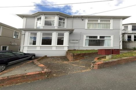 Photo of property in 21a Hargreaves Street, Mount Cook, Wellington, 6021
