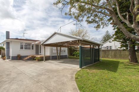 Photo of property in 145 Rathgar Road, Henderson, Auckland, 0610