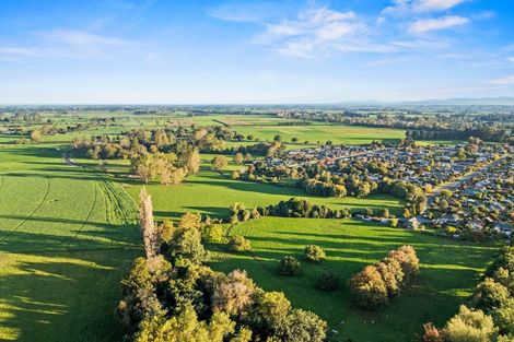 Photo of property in 584 Orari Station Road, Geraldine, 7992