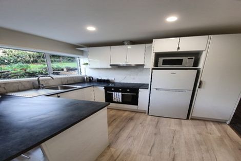 Photo of property in 58 Glamorgan Drive, Torbay, Auckland, 0630