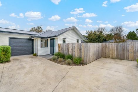 Photo of property in 99b Bruce Avenue, Glenview, Hamilton, 3206