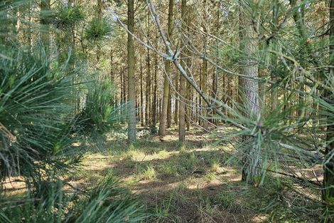 Photo of property in 577 Pesters Road, West Eyreton, 7475