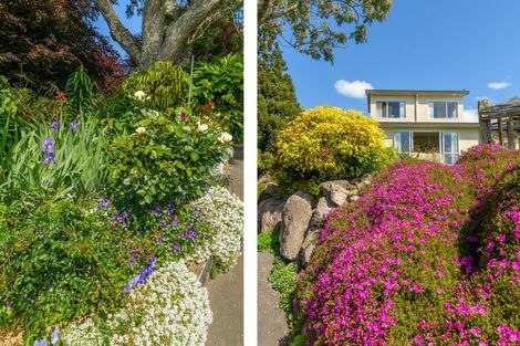 Photo of property in 20r Panorama Drive, Welcome Bay, Tauranga, 3175