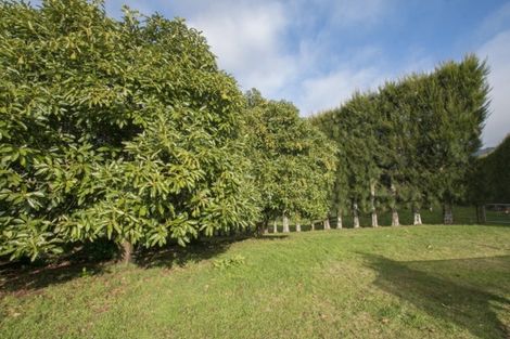 Photo of property in 294 Wharawhara Road, Tahawai, Katikati, 3178