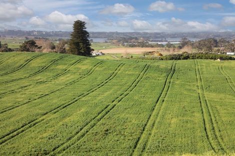 Photo of property in 41 Mcnaughten Road, Karioitahi, Waiuku, 2683