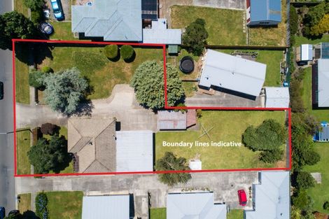 Photo of property in 420 Tremaine Avenue, Takaro, Palmerston North, 4412