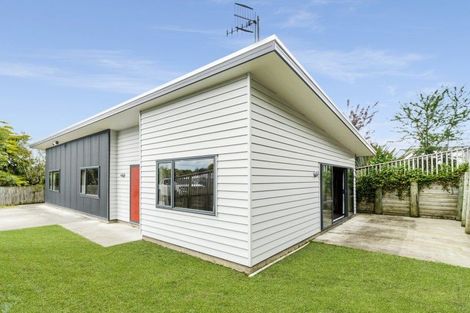 Photo of property in 56a Glasgow Terrace, Feilding, 4702