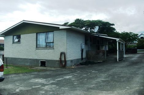 Photo of property in 167 Tiro Tiro Road, Levin, 5510
