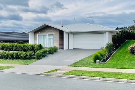 Photo of property in 92 Whakaturou Crescent, Pyes Pa, Tauranga, 3112