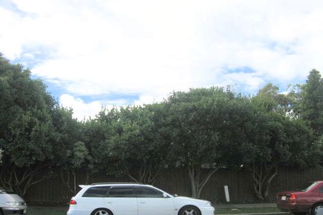 Photo of property in 152 Carruth Road, Papatoetoe, Auckland, 2025