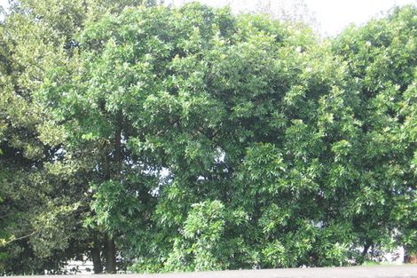 Photo of property in 1/30 Forest Road, Henderson, Auckland, 0612