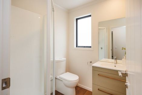 Photo of property in 13 Ihle Street, Terrace End, Palmerston North, 4410