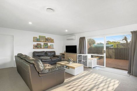 Photo of property in 243 Lyttelton Street, Spreydon, Christchurch, 8024