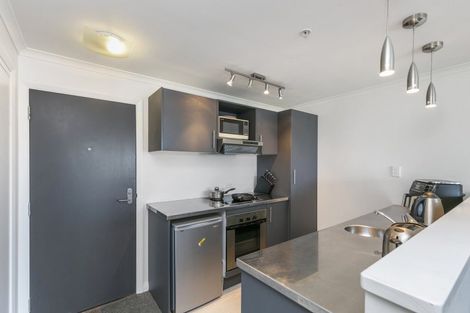 Photo of property in Monvie Apartments, 304/15 Holland Street, Te Aro, Wellington, 6011