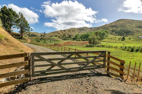 Photo of property in 1586 Omana Road, Omana, Tangiteroria, 0381
