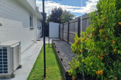 Photo of property in 89 Winchester Street, Merivale, Christchurch, 8014