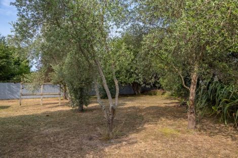 Photo of property in 170 Cole Street, Masterton, 5810