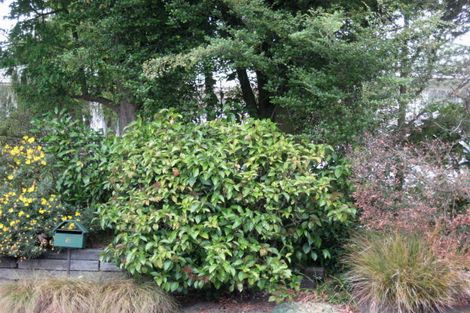 Photo of property in 8 Colina Street, Avonhead, Christchurch, 8042