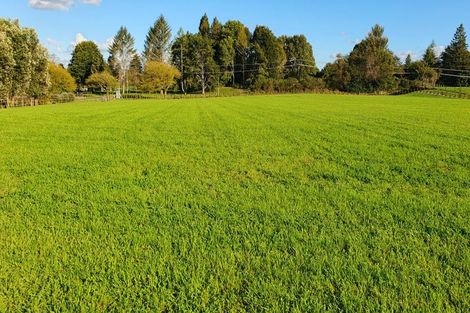 Photo of property in 242 Maraetai Rd - State Highway State Highway, Tokoroa, 3491