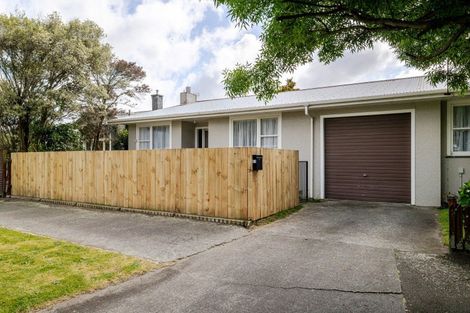 Photo of property in 61 Bryant Street, Takaro, Palmerston North, 4412