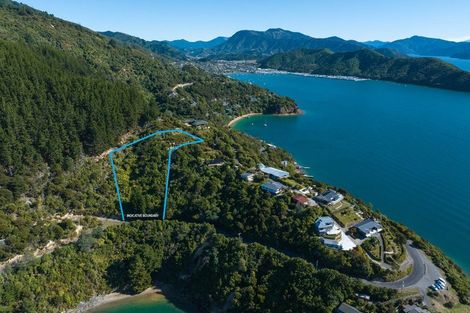 Photo of property in 318 Port Underwood Road, Whatamango Bay, Picton, 7281