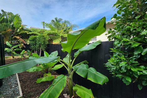 Photo of property in 278a Glenvar Road, Torbay, Auckland, 0630