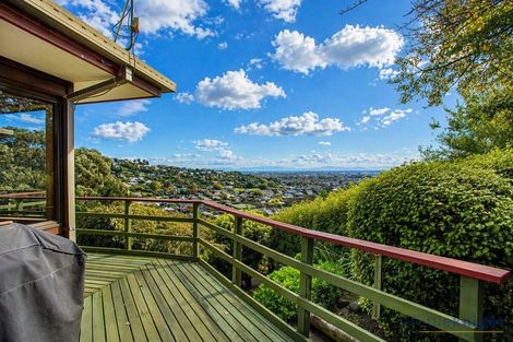 Photo of property in 37 Rapaki Road, Hillsborough, Christchurch, 8022