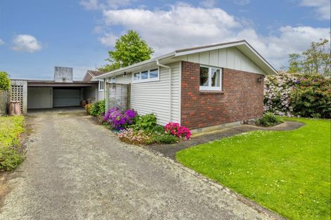 Photo of property in 175 Tiro Tiro Road, Levin, 5510