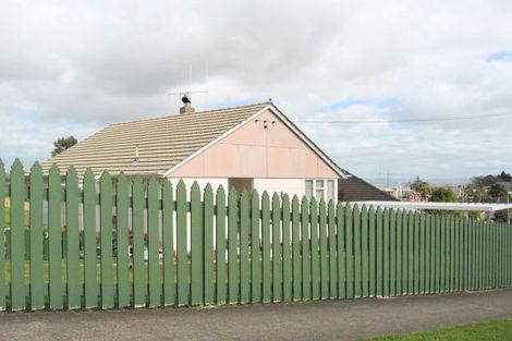 Photo of property in 103 Harvey Crescent, Thames, 3500