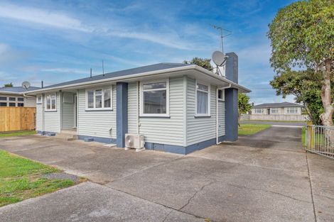 Photo of property in 24 Carlisle Street, Levin, 5510