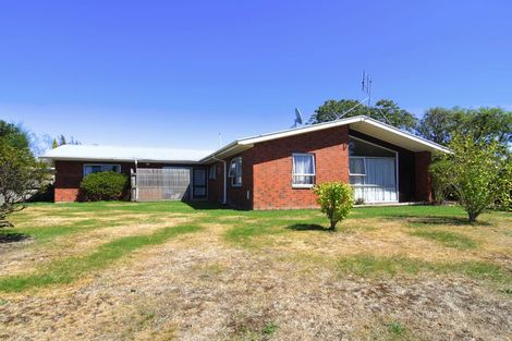 Photo of property in 31 Kiwi Street, Masterton, 5810