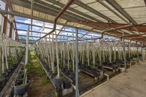 Photo of property in 123 Jesmond Road, Karaka, Drury, 2578