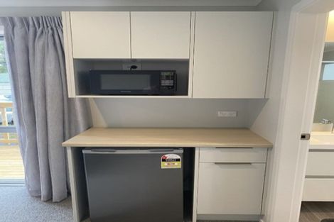 Photo of property in 16u1 Manning Street, Hamilton Central, Hamilton, 3204