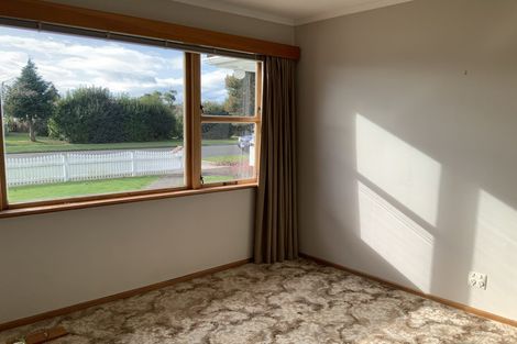 Photo of property in 53 Graham Street, Levin, 5510