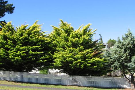 Photo of property in 51 Topliss Drive, Northcross, Auckland, 0632