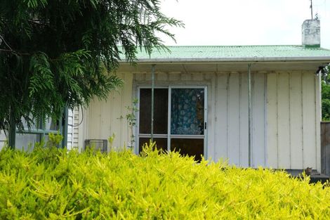 Photo of property in 21 Ferguson Street, Levin, 5510