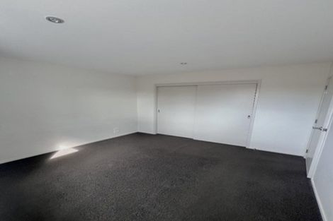 Photo of property in 195u1 Massey Street, Frankton, Hamilton, 3204