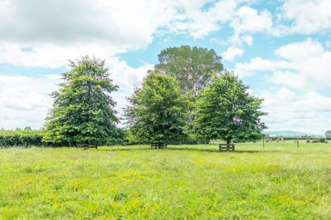 Photo of property in 662 Tauwhare Road, Matangi, Hamilton, 3287