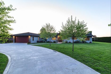 Photo of property in 56 Gladstone Road, Levin, 5571