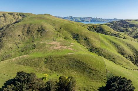 Photo of property in 452 Harington Point Road, Lower Portobello, Dunedin, 9077