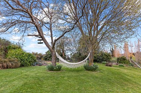 Photo of property in 380 Rangiora Leithfield Road, Sefton, Rangiora, 7477