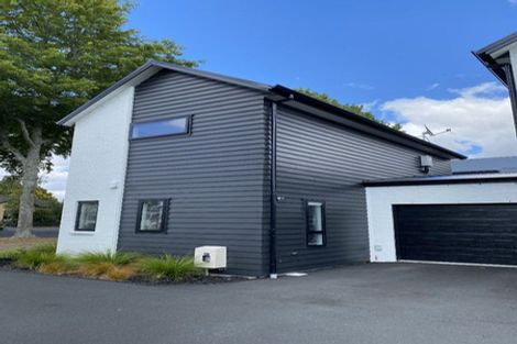 Photo of property in 89u1 Albert Street, Hamilton East, Hamilton, 3216