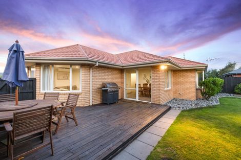 Photo of property in 19 Ballymena Drive, Belfast, Christchurch, 8051