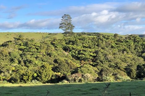 Photo of property in 698 Pungaere Road, Waipapa, Kerikeri, 0295