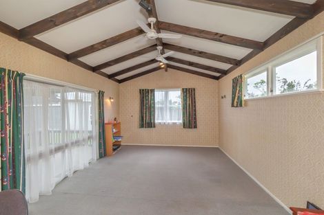 Photo of property in 43 Tiro Tiro Road, Levin, 5510