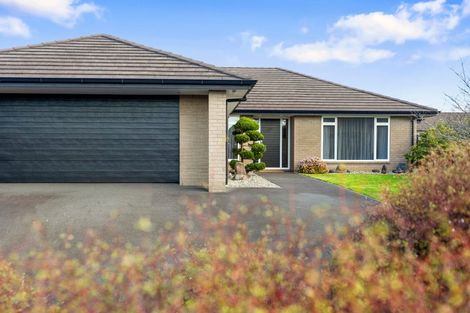Photo of property in 19 Mortlake Heights, Pyes Pa, Tauranga, 3112
