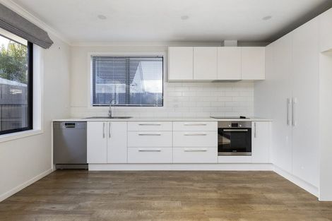 Photo of property in 1b Meachen Crescent, Blenheim, 7201