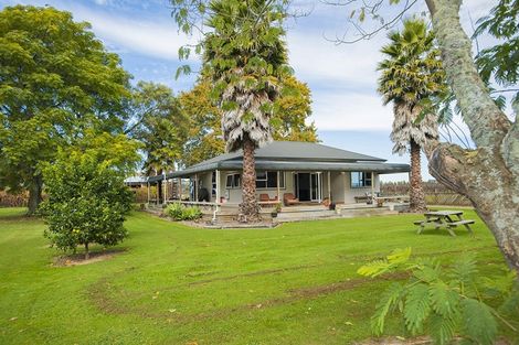 Photo of property in 144 Ngakoroa Road, Ormond, Gisborne, 4071