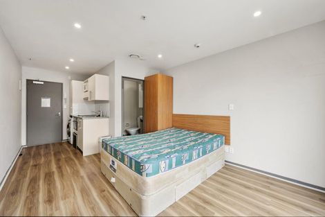 Photo of property in Dual Apartments, 506/142u Vivian Street, Te Aro, Wellington, 6011