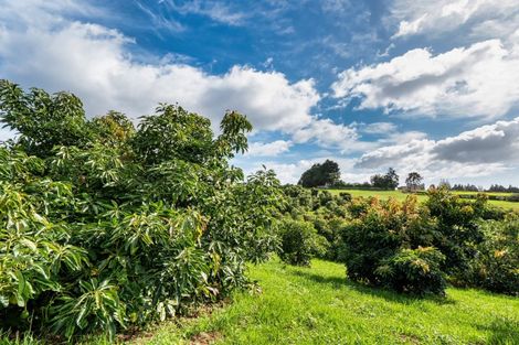 Photo of property in 183 Henry Road, Tahawai, 3170